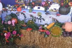 OR Słupsk - Dożynki 2022